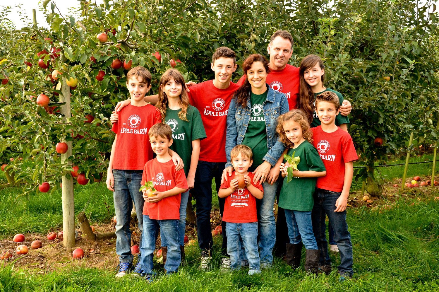 Taves Family Applebarn