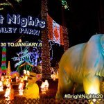 Bright Nights at Stanley Park