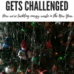 When Your Challenge is Challenged. Sharing how we're tackling energy waste in 2018 with Team Power Smart #EcoFriendly #Energy #GreenLiving #Challenge #Frugalliving