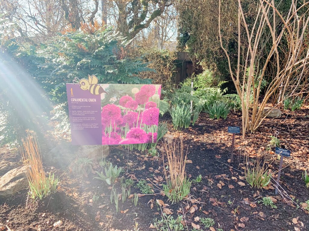 #1 of the Van Dusen Botanical Garden GOG Challenge 