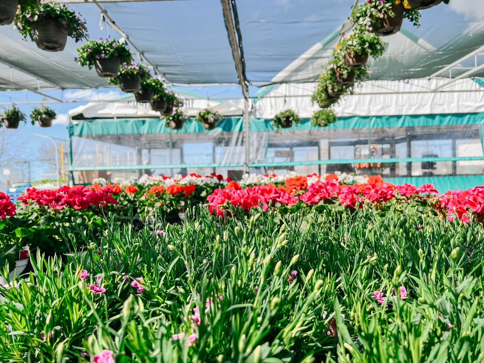 Vancouver Pop Up Garden Centre Spring Garden Planning With Urban Roots