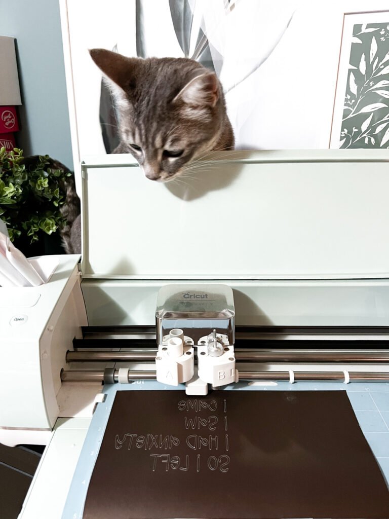 Popcorn GreyCat checking out the Cricut cutting machine